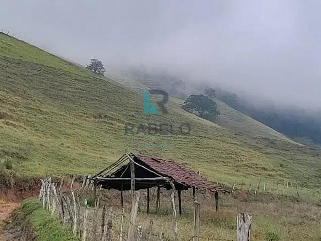 Sítio e chácara venda em Região Geográfica Imediata de Itajubá, Delfim Moreira
