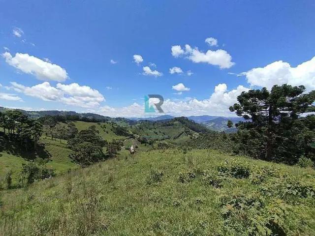 Sítio e chácara venda em Região Geográfica Imediata de Itajubá, Delfim Moreira
