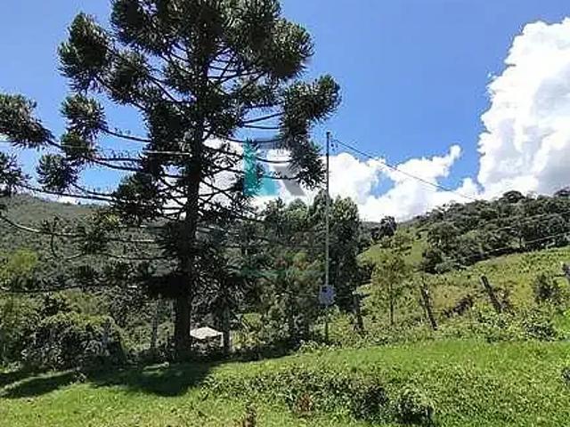 Sítio e chácara venda em Região Geográfica Imediata de Itajubá, Delfim Moreira