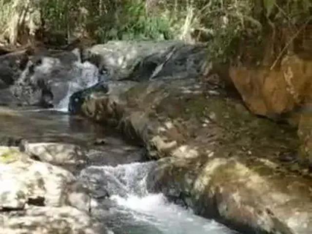 Sítio e chácara venda em Região Geográfica Imediata de Passos, Delfinópolis
