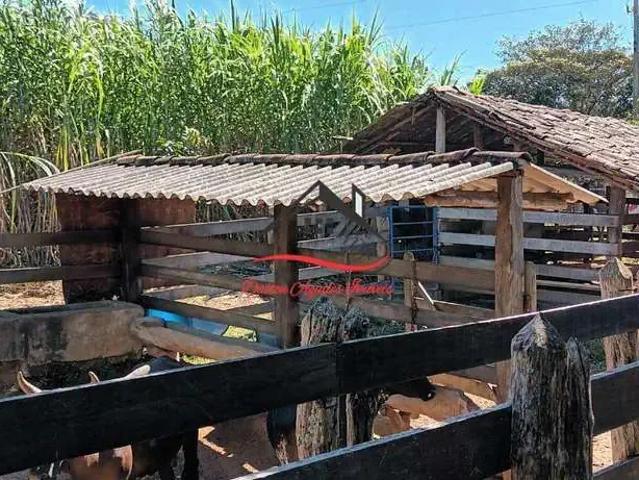 Sítio e chácara venda em Região Geográfica Imediata de Diamantina, Diamantina