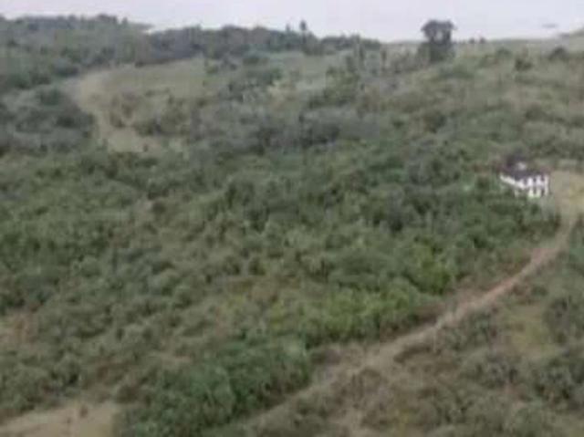 Sítio e chácara venda em Dias d'Ávila