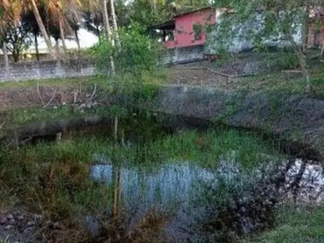 Sítio e chácara venda em Região Geográfica Imediata de Salvador, Região Metropolitana de Salvador