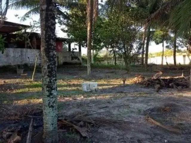 Sítio e chácara venda em Região Geográfica Imediata de Salvador, Região Metropolitana de Salvador