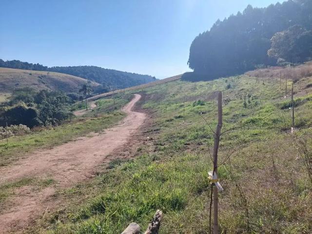 Sítio e chácara venda em Divinolândia, Região Geográfica Intermediária de Campinas