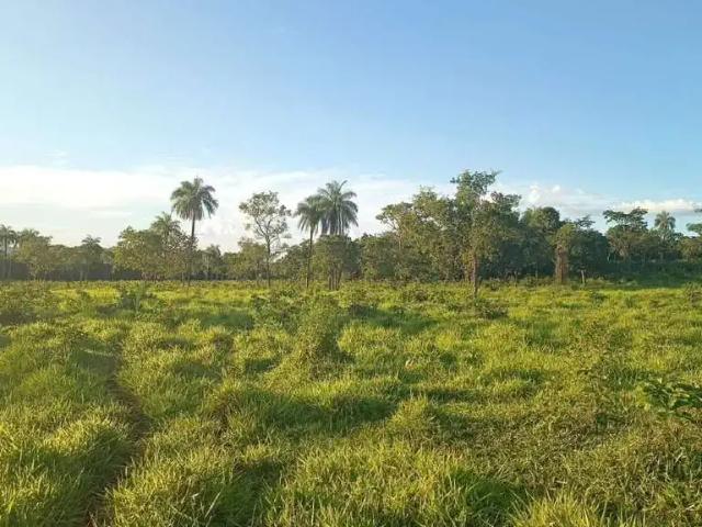 Sítio e chácara venda em Região Geográfica Imediata de Posse-Campos Belos, Divinópolis de Goiás