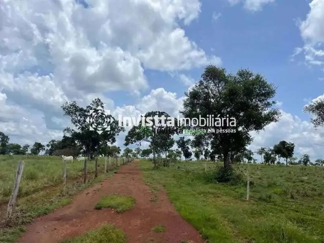 Sítio e chácara venda em Região Geográfica Imediata de Paraíso do Tocantins, Divinópolis do Tocantins