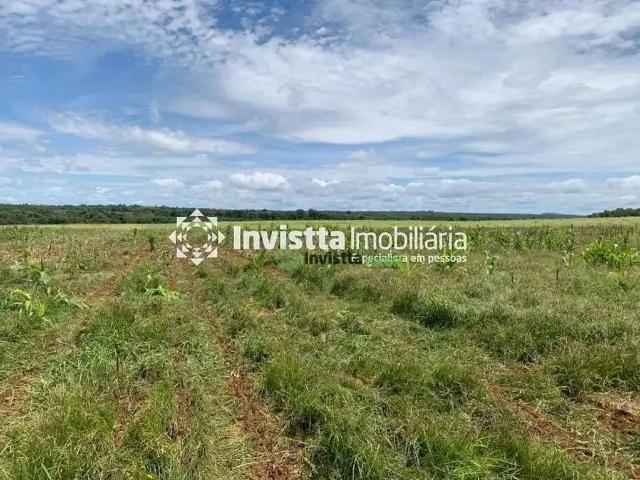 Sítio e chácara venda em Região Geográfica Imediata de Paraíso do Tocantins, Divinópolis do Tocantins