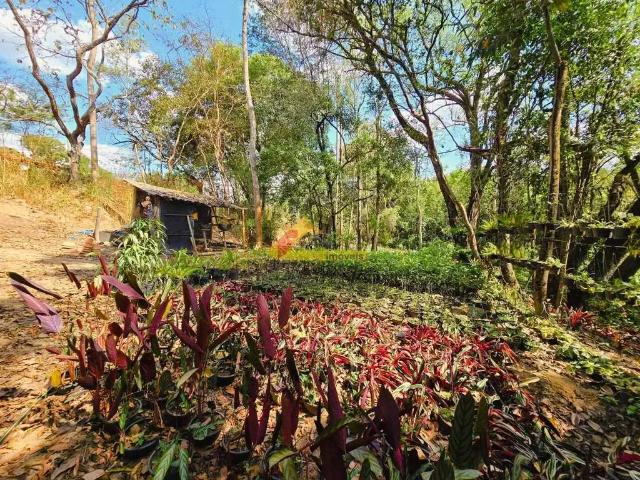 Sítio e chácara venda em Região Geográfica Imediata de Divinópolis, Divinópolis