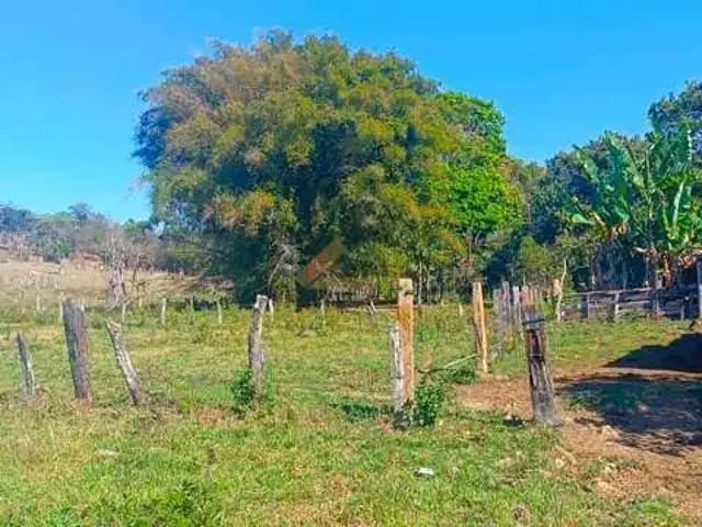 Sítio e chácara venda em Região Geográfica Imediata de Divinópolis, Divinópolis