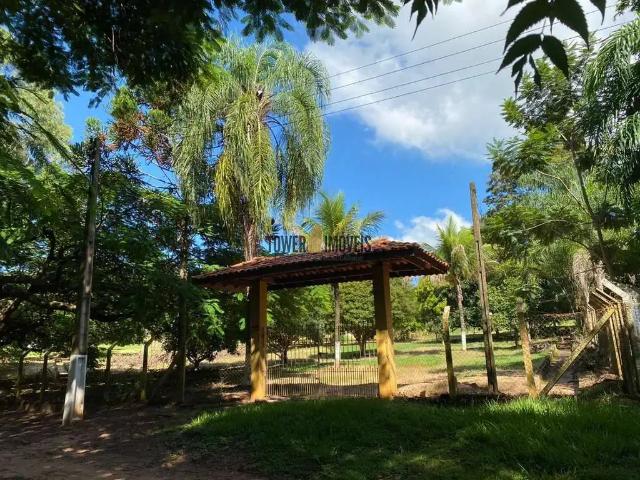 Sítio e chácara venda em Altamira, Região Norte
