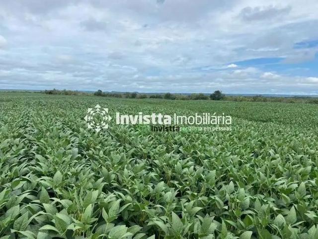 Sítio e chácara venda em Dois Irmãos do Tocantins, Região Norte