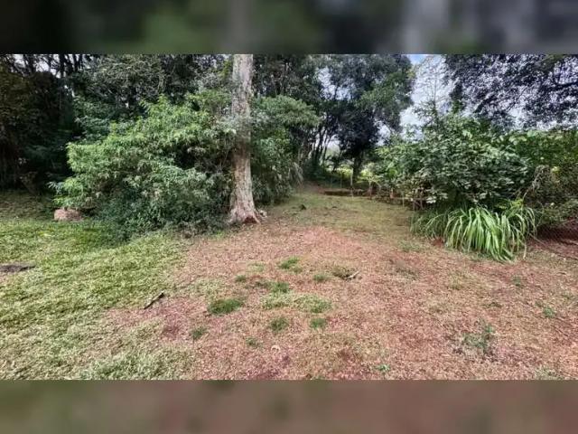 Sítio e chácara venda em Região Geográfica Imediata de Novo Hamburgo - São Leopoldo, Região Metropolitana de Porto Alegre