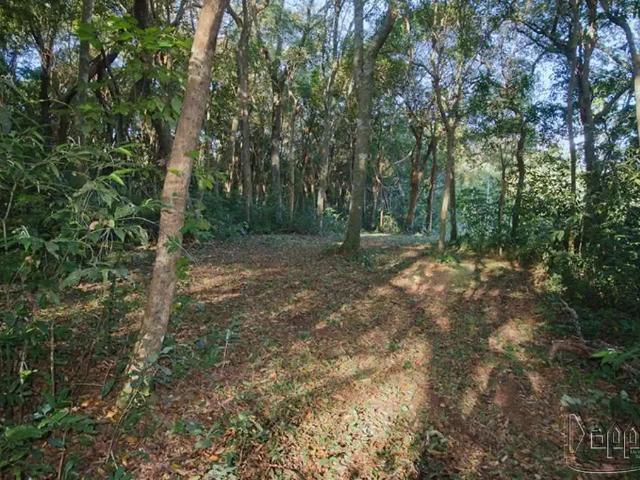 Sítio e chácara venda em Região Geográfica Imediata de Novo Hamburgo - São Leopoldo, Região Metropolitana de Porto Alegre