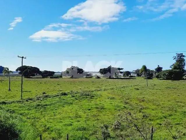 Sítio e chácara venda em Região Geográfica Imediata de Erechim, Barão de Cotegipe