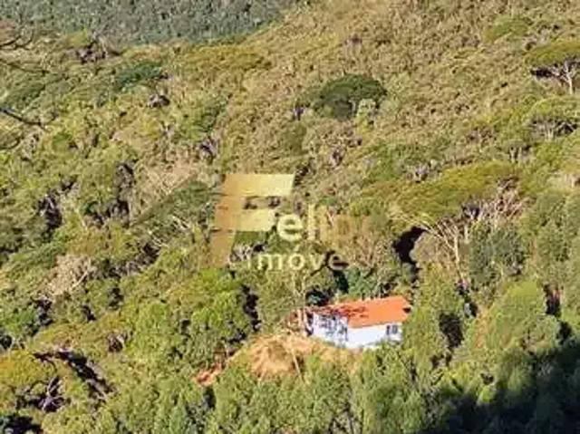Sítio e chácara venda em Região Geográfica Imediata de Afonso Cláudio - Venda Nova do Imigrante - Santa Maria de Jetibá, Domingos Martins