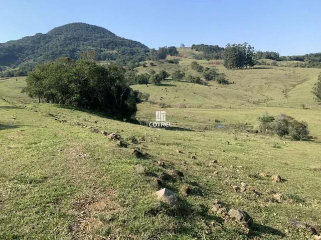Sítio e chácara venda em Região Geográfica Imediata de Santa Maria, Dona Francisca