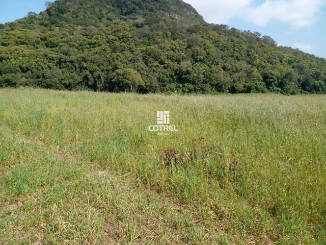 Sítio e chácara venda em Região Geográfica Imediata de Santa Maria, Dona Francisca