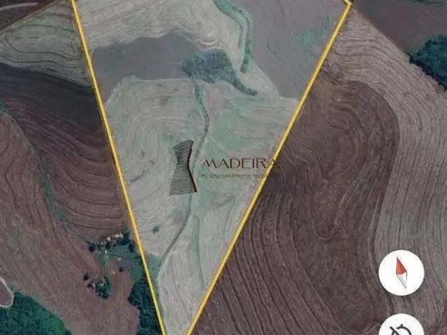 Sítio e chácara venda em Região Geográfica Imediata de Maringá, Doutor Camargo