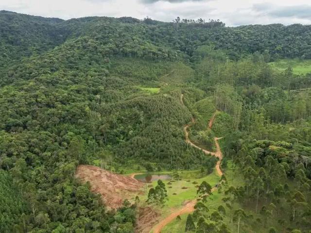 Sítio e chácara venda em Região Geográfica Imediata de Blumenau, Doutor Pedrinho