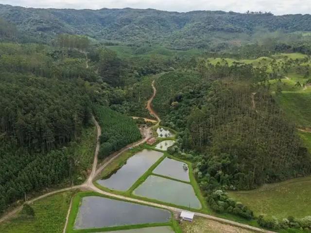 Sítio e chácara venda em Região Geográfica Imediata de Blumenau, Doutor Pedrinho