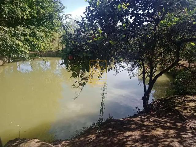 Sítio e chácara venda em Região Geográfica Imediata de Blumenau, Doutor Pedrinho