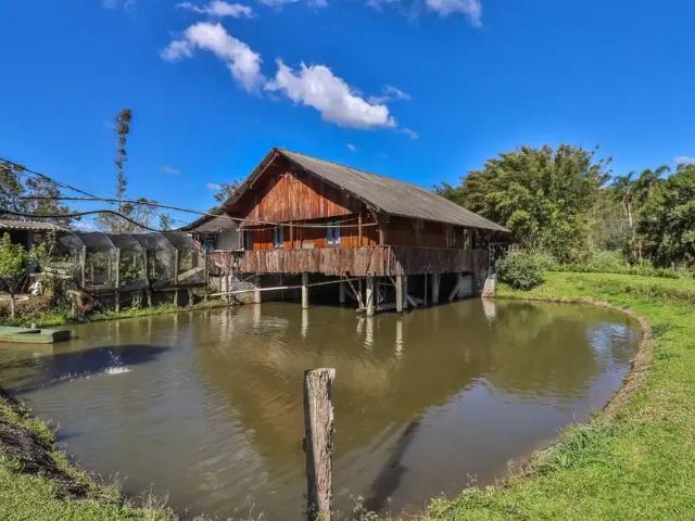 Sítio e chácara venda em Região Geográfica Imediata de Blumenau, Doutor Pedrinho