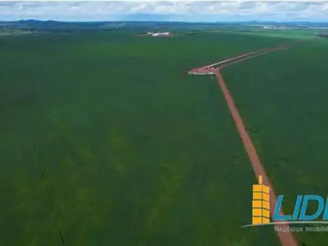 Sítio e chácara venda em Região Geográfica Imediata de Jataí-Mineiros, Doverlândia