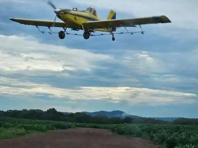 Sítio e chácara venda em Região Geográfica Imediata de Jataí-Mineiros, Doverlândia