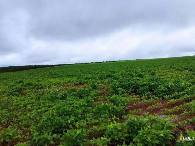 Sítio e chácara venda em Região Geográfica Imediata de Jataí-Mineiros, Doverlândia