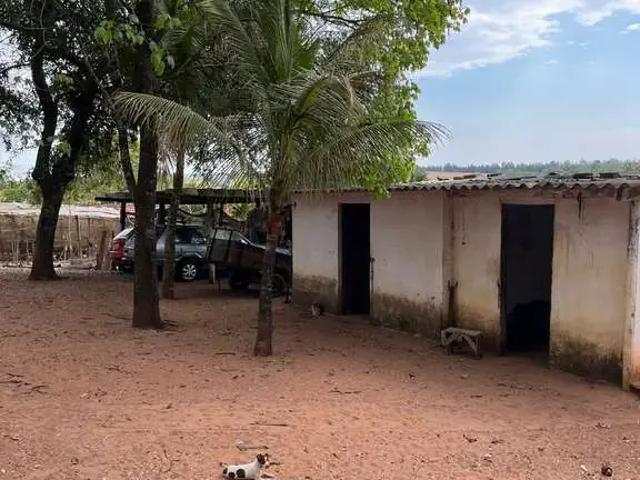 Sítio e chácara venda em Região Imediata de Bauru, Duartina