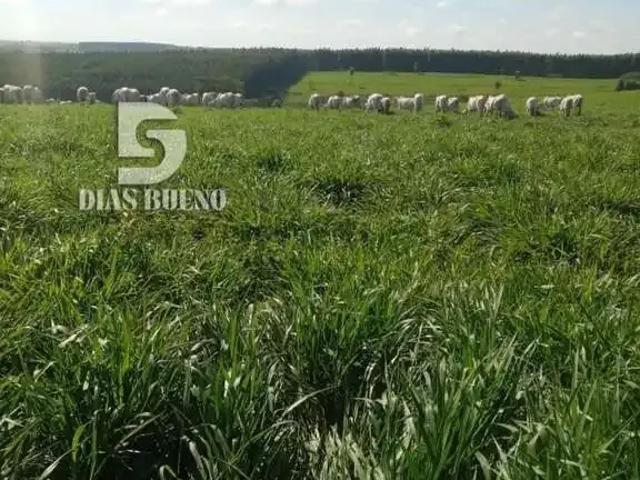 Sítio e chácara venda em Região Imediata de Bauru, Duartina
