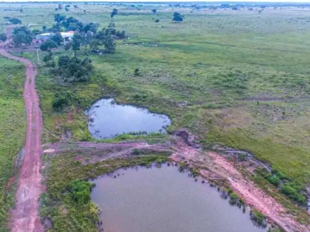 Sítio e chácara venda em Região Geográfica Imediata de Gurupi, Dueré