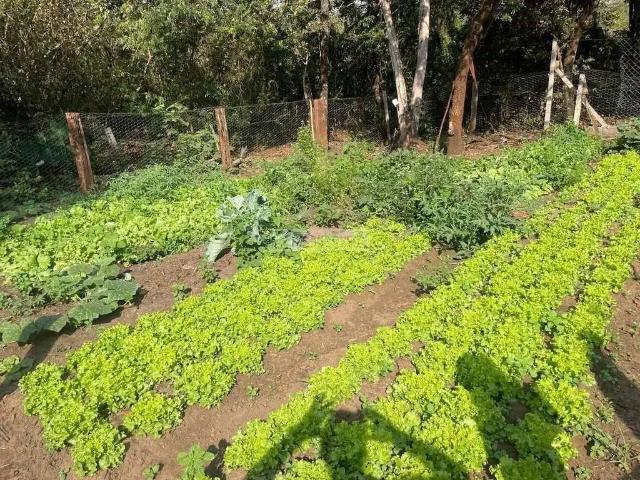 Sítio e chácara venda em Região Imediata de Ribeirão Preto, Região Metropolitana de Ribeirão Preto