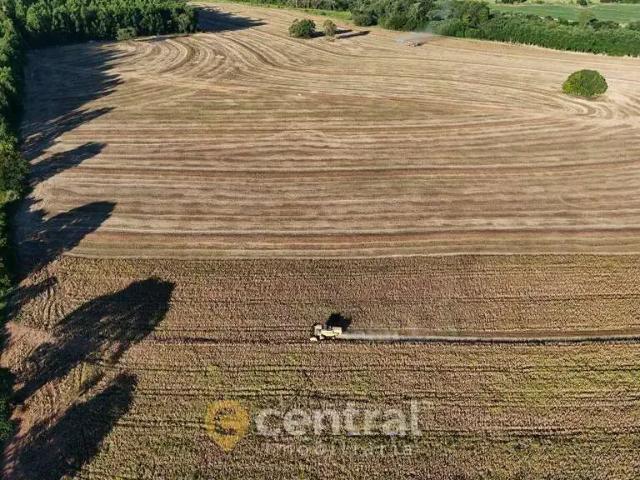 Sítio e chácara venda em Região Imediata de Marília, Echaporã