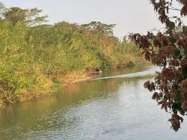 Sítio e chácara venda em Região Geográfica Imediata de Piracanjuba, Edealina