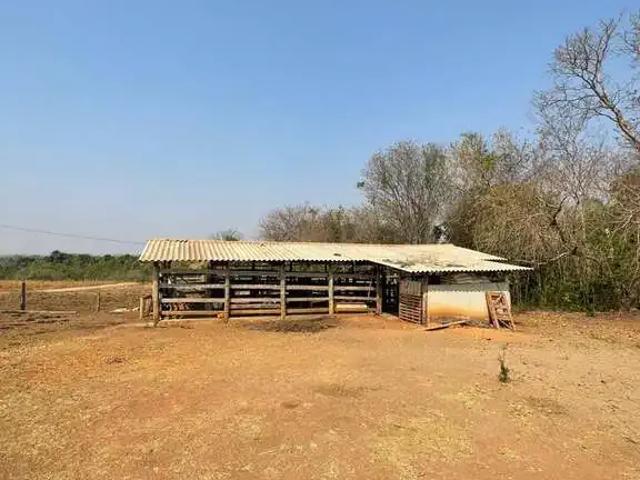 Sítio e chácara venda em Região Geográfica Imediata de Piracanjuba, Edealina