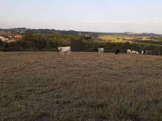 Sítio e chácara venda em Vila Anchieta, Elias Fausto