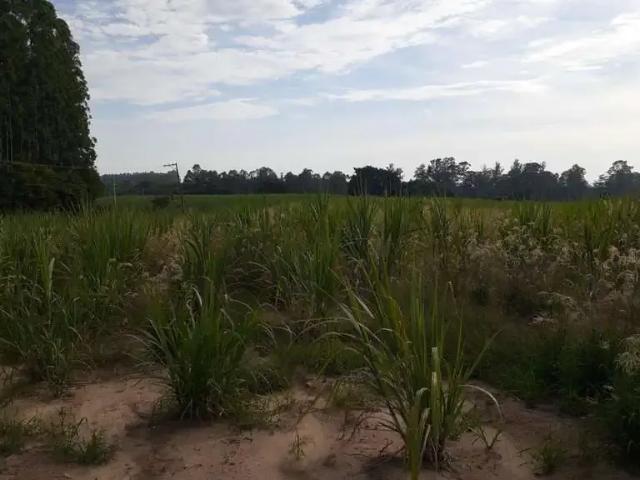 Sítio e chácara venda em Vila Anchieta, Elias Fausto