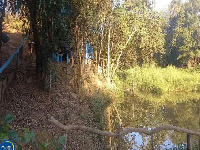 Sítio e chácara venda em Região Imediata de Campinas, Região Metropolitana de Piracicaba