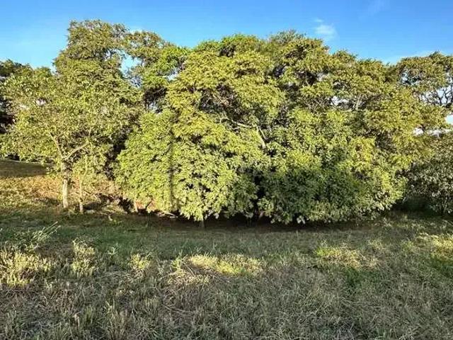 Sítio e chácara venda em Região Imediata de Campinas, Região Metropolitana de Piracicaba