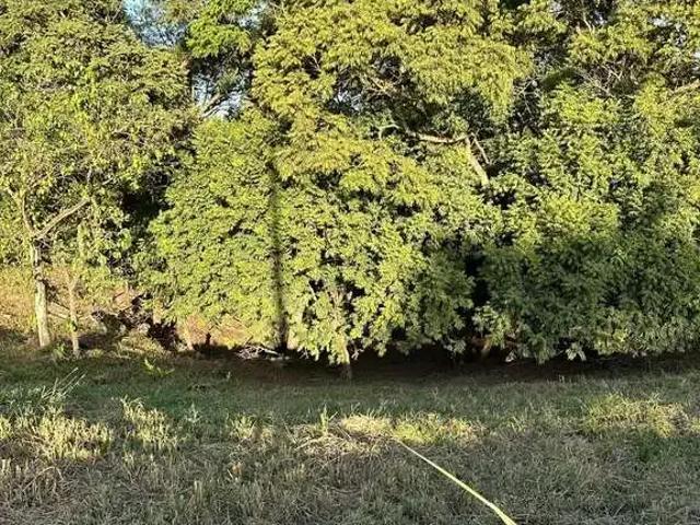 Sítio e chácara venda em Cardeal, Elias Fausto