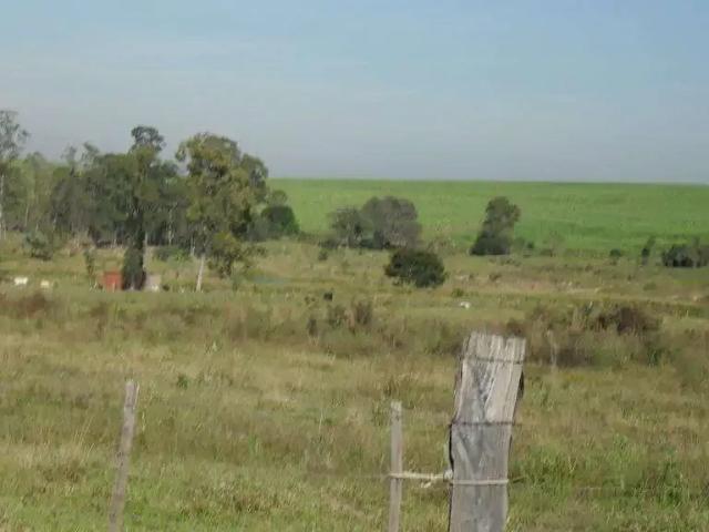 Sítio e chácara venda em Região Imediata de Piracicaba, Região Metropolitana de Piracicaba