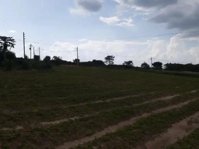 Sítio e chácara venda em Região Imediata de Campinas, Região Metropolitana de Piracicaba