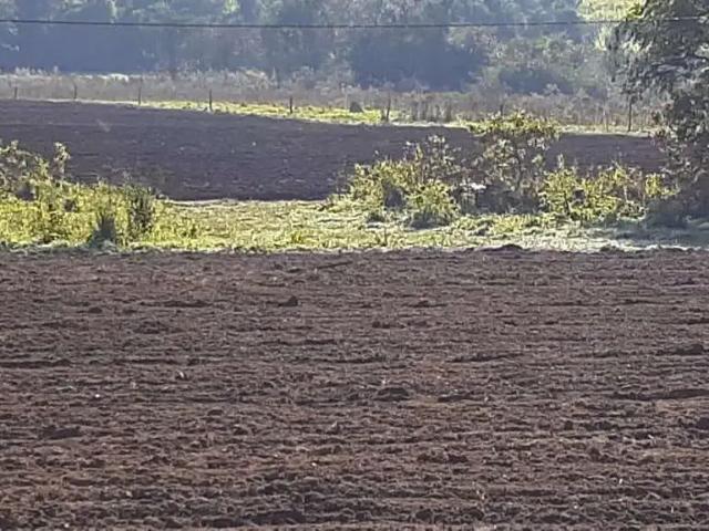 Sítio e chácara venda em Vila Anchieta, Elias Fausto