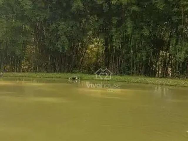 Sítio e chácara venda em Região Imediata de São Paulo, Região Metropolitana de São Paulo