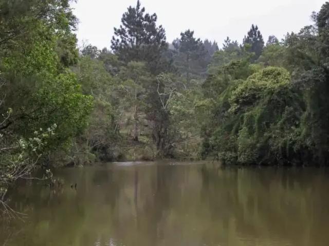 Sítio e chácara venda em Região Imediata de São Paulo, Região Metropolitana de São Paulo