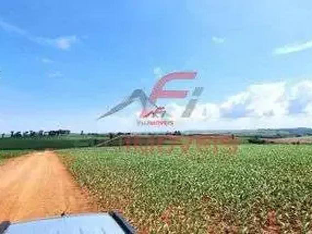 Sítio e chácara venda em Região Geográfica Imediata de Campo Mourão, Engenheiro Beltrão