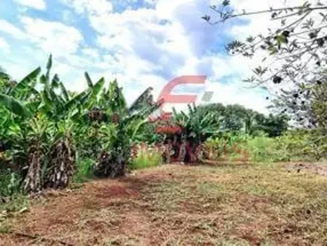 Sítio e chácara venda em Engenheiro Beltrão, Região Geográfica Intermediária de Maringá