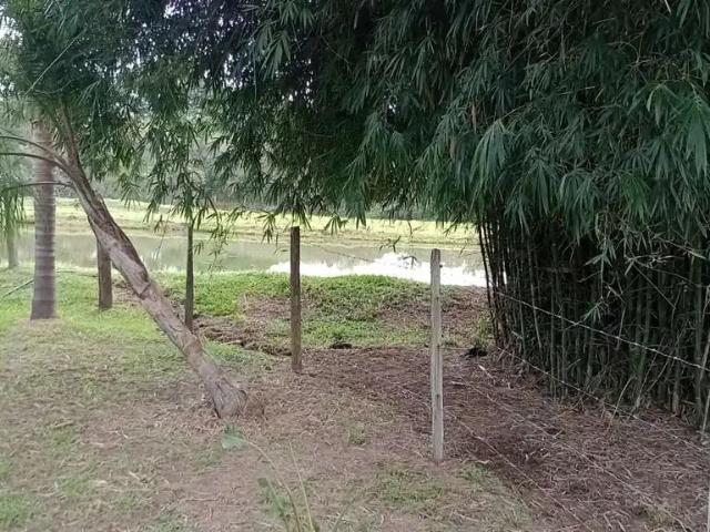 Sítio e chácara venda em Região Imediata de Limeira, Região Metropolitana de Campinas